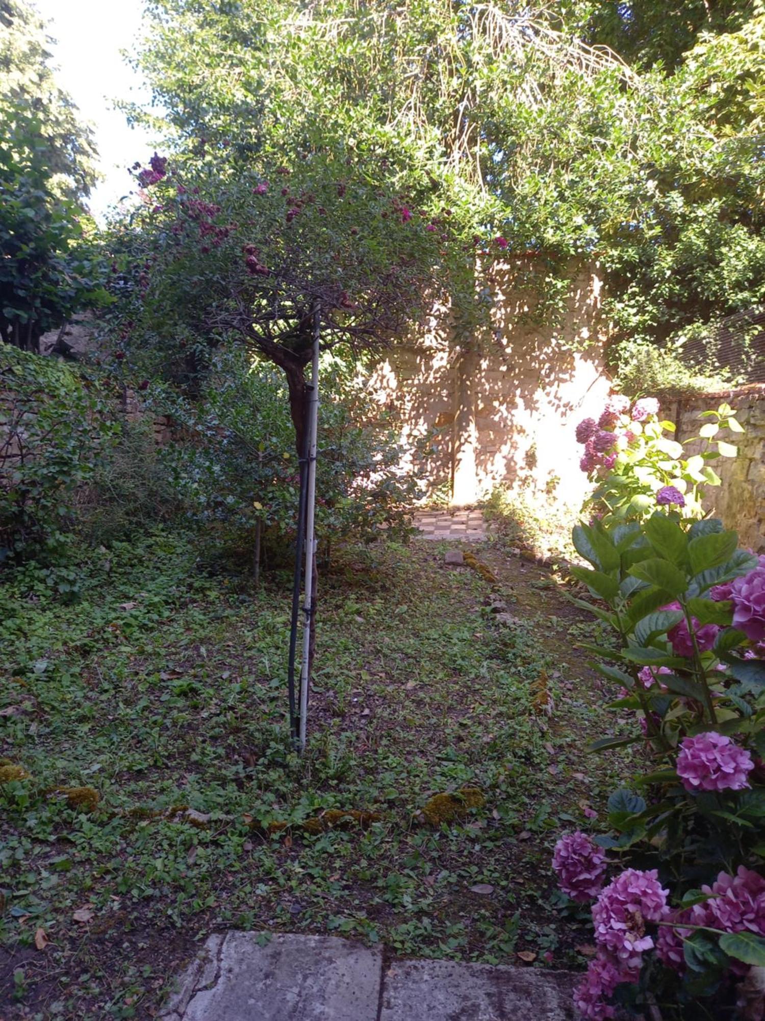 La Teranga De Kadi & Cathy, Avec Jardin Privatif Apartment Nancy Exterior photo