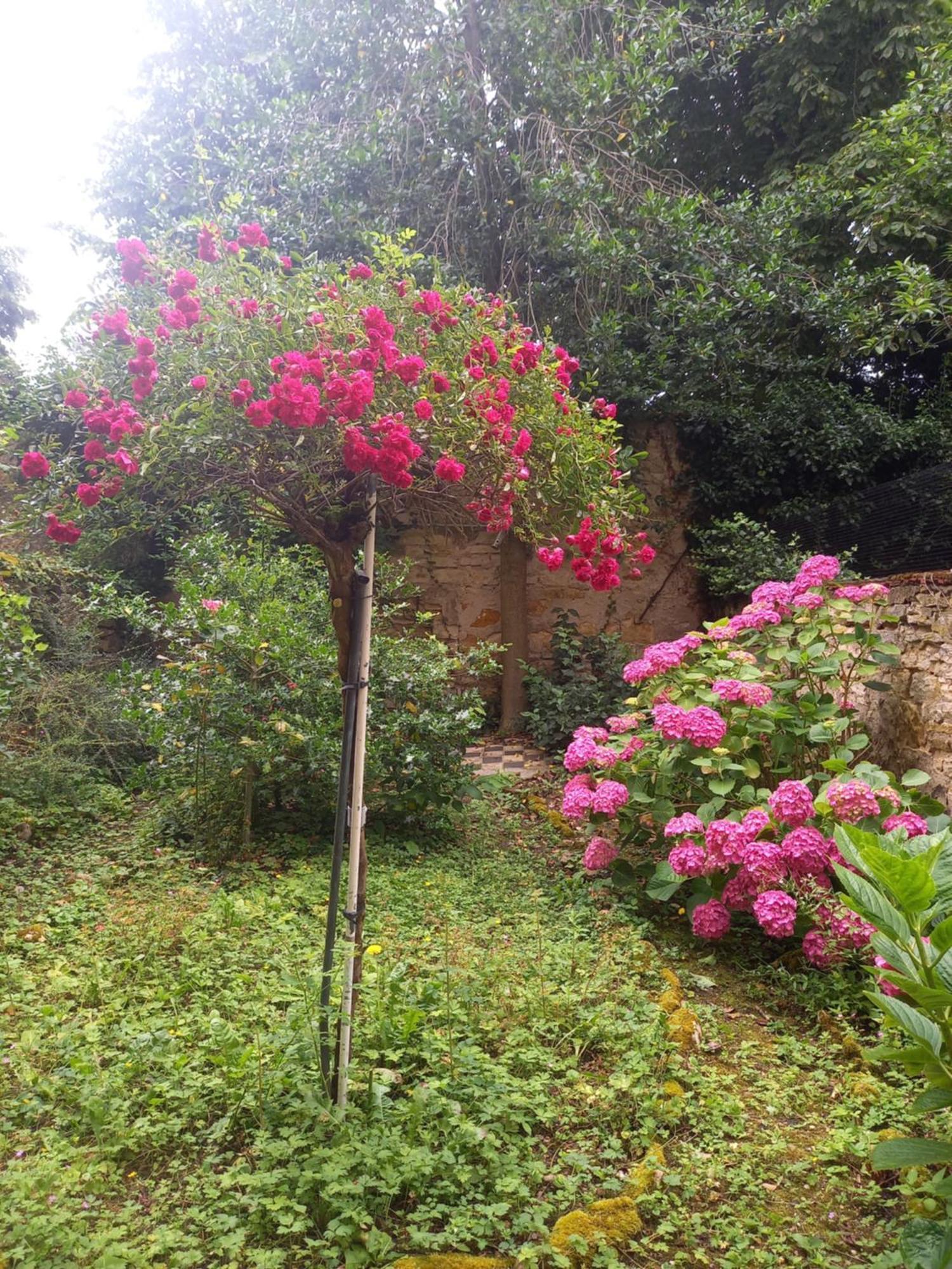 La Teranga De Kadi & Cathy, Avec Jardin Privatif Apartment Nancy Exterior photo